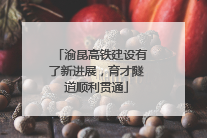 渝昆高铁建设有了新进展，育才隧道顺利贯通