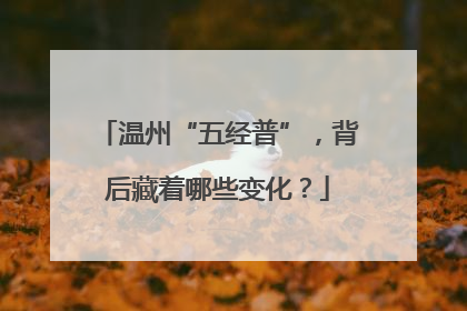 温州“五经普”，背后藏着哪些变化？