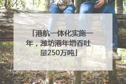 港航一体化实施一年，潍坊港年增吞吐量250万吨