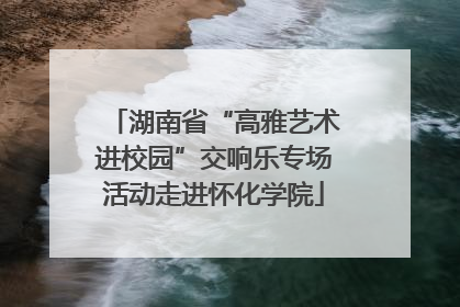湖南省“高雅艺术进校园”交响乐专场活动走进怀化学院