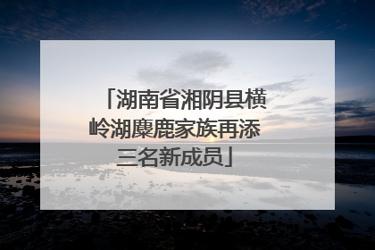 湖南省湘阴县横岭湖麋鹿家族再添三名新成员