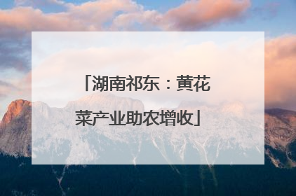 湖南祁东：黄花菜产业助农增收