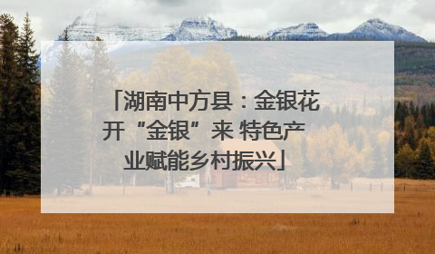 湖南中方县：金银花开“金银”来 特色产业赋能乡村振兴
