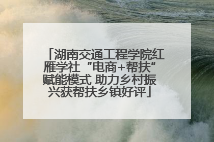 湖南交通工程学院红雁学社“电商+帮扶”赋能模式 助力乡村振兴获帮扶乡镇好评