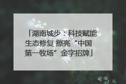 湖南城步：科技赋能生态修复 擦亮“中国第一牧场”金字招牌