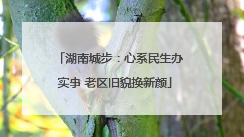湖南城步：心系民生办实事 老区旧貌换新颜