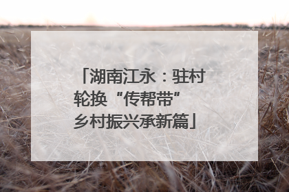 湖南江永：驻村轮换“传帮带” 乡村振兴承新篇