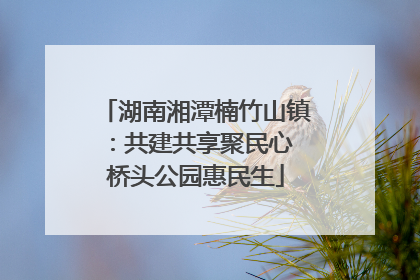 湖南湘潭楠竹山镇：共建共享聚民心 桥头公园惠民生