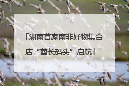湖南首家南非好物集合店“酋长码头”启航