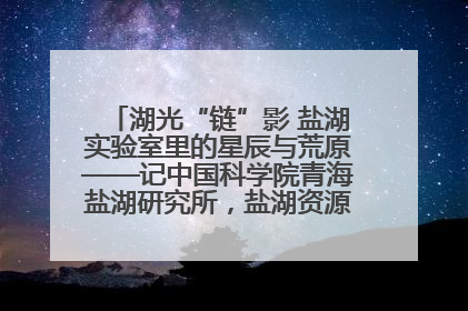 湖光“链”影 盐湖实验室里的星辰与荒原——记中国科学院青海盐湖研究所，盐湖资源化学实验室党总支书记、副主任刘忠