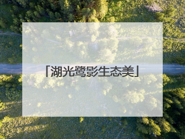 湖光鹭影生态美