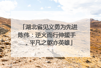 湖北省见义勇为先进陈伟：逆火而行伸援手，平凡之躯亦英雄