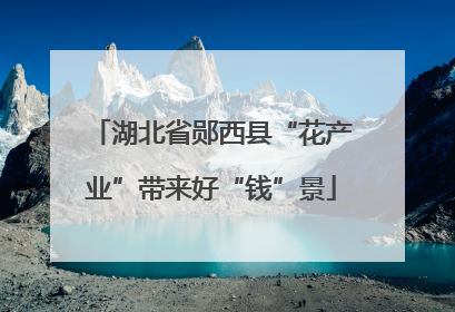 湖北省郧西县“花产业”带来好“钱”景