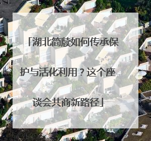 湖北简牍如何传承保护与活化利用？这个座谈会共商新路径