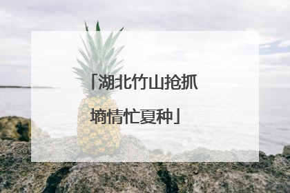 湖北竹山抢抓墒情忙夏种