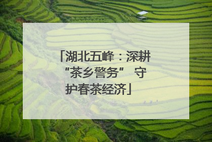 湖北五峰：深耕“茶乡警务” 守护春茶经济