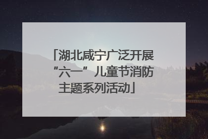 湖北咸宁广泛开展“六一”儿童节消防主题系列活动