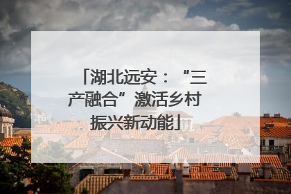 湖北远安：“三产融合”激活乡村振兴新动能