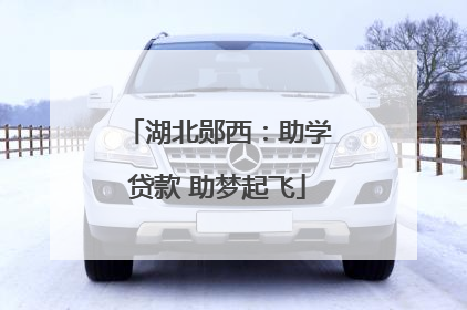 湖北郧西：助学贷款 助梦起飞