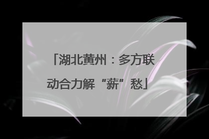 湖北黄州：多方联动合力解“薪”愁