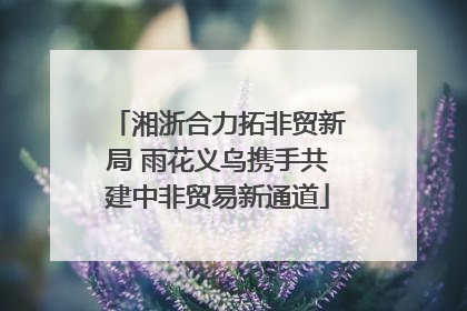 湘浙合力拓非贸新局 雨花义乌携手共建中非贸易新通道