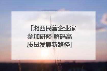 湘西民营企业家参加研修 解码高质量发展新路径