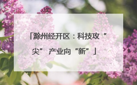 滁州经开区：科技攻“尖” 产业向“新”