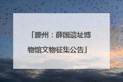 滕州：薛国遗址博物馆文物征集公告