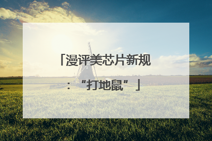 漫评美芯片新规：“打地鼠”
