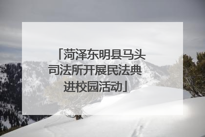 菏泽东明县马头司法所开展民法典进校园活动