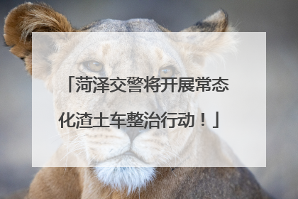 菏泽交警将开展常态化渣土车整治行动！