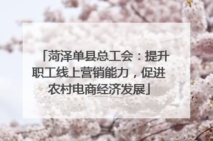 菏泽单县总工会：提升职工线上营销能力，促进农村电商经济发展