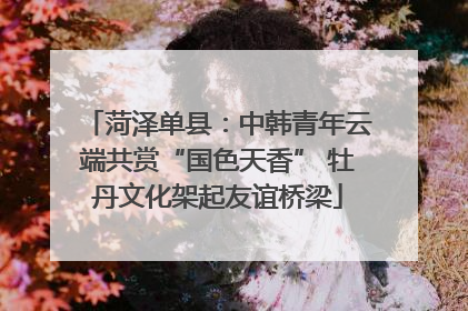 菏泽单县：中韩青年云端共赏“国色天香” 牡丹文化架起友谊桥梁