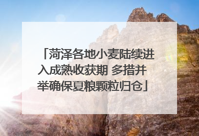 菏泽各地小麦陆续进入成熟收获期 多措并举确保夏粮颗粒归仓