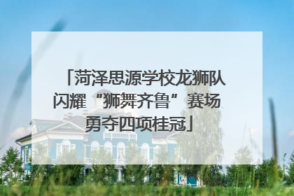 菏泽思源学校龙狮队闪耀“狮舞齐鲁”赛场 勇夺四项桂冠