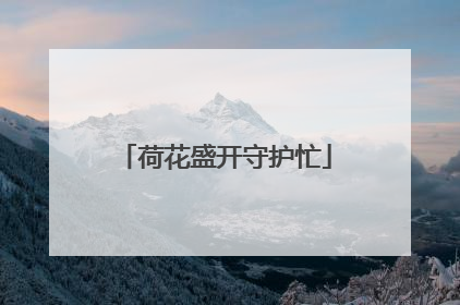 荷花盛开守护忙