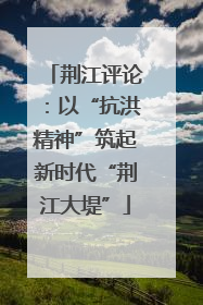 荆江评论：以“抗洪精神”筑起新时代“荆江大堤”