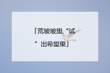 荒坡坡里“试”出希望果