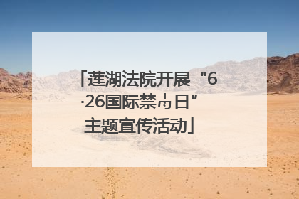 莲湖法院开展“6·26国际禁毒日”主题宣传活动