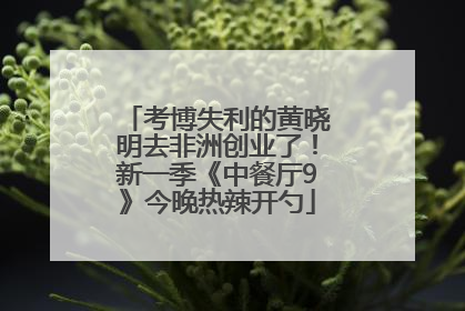 考博失利的黄晓明去非洲创业了！新一季《中餐厅9》今晚热辣开勺