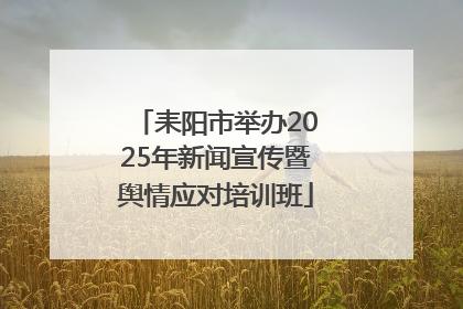 耒阳市举办2025年新闻宣传暨舆情应对培训班