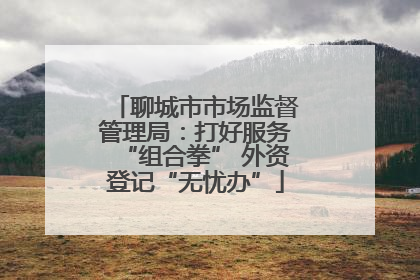 聊城市市场监督管理局：打好服务“组合拳” 外资登记“无忧办”