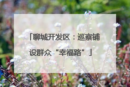 聊城开发区：巡察铺设群众“幸福路”