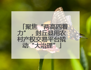 聚焦“两高四着力”，封丘县用农村产权交易平台撬动“大治理”