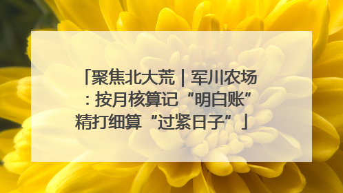 聚焦北大荒｜军川农场：按月核算记“明白账”精打细算“过紧日子”
