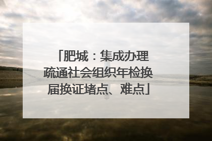 肥城：集成办理 疏通社会组织年检换届换证堵点、难点