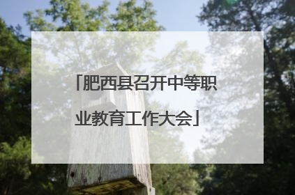 肥西县召开中等职业教育工作大会