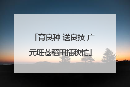 育良种 送良技 广元旺苍稻田插秧忙