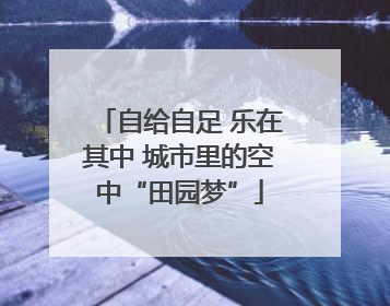 自给自足 乐在其中 城市里的空中“田园梦”