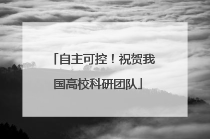 自主可控！祝贺我国高校科研团队